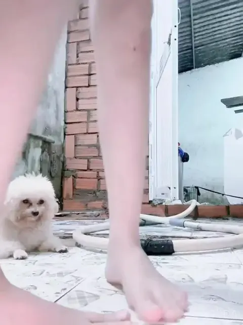 “Ra kèo ác vãi lồn, có người đến bảo tao đấy” trả kèo móc lồn ngoài đường cho tg bạn3